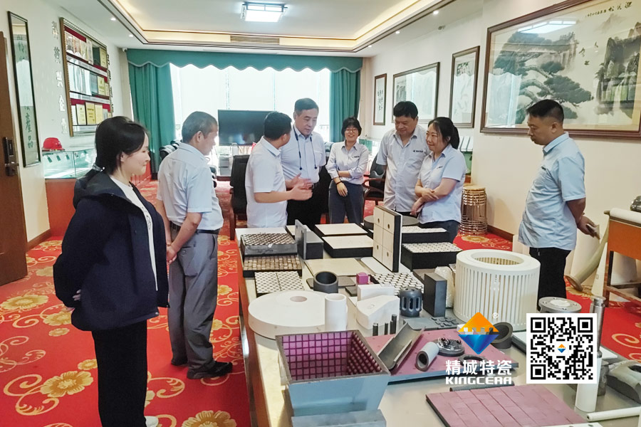 清华大学潘伟教授到访yp街机特瓷